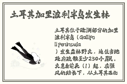 穿开襟旗袍做双人运动app